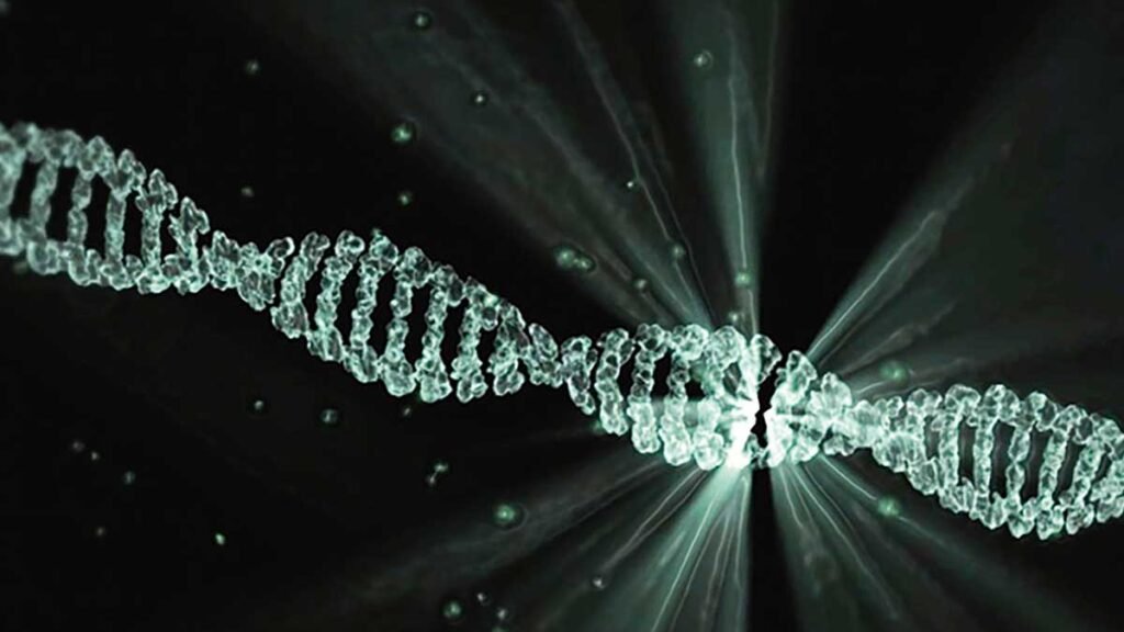 estrutura do dna
